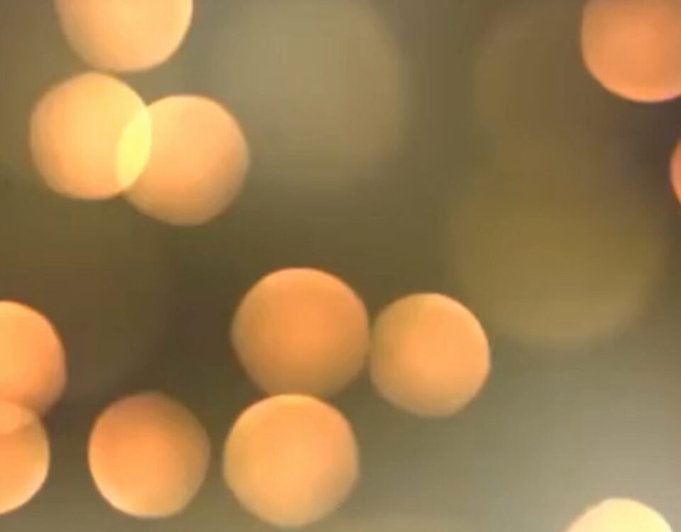 Film sugeruje brakującego widza