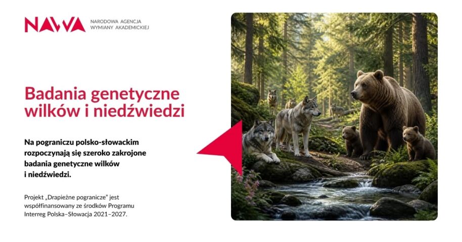 DNA ukazuje informacje o wilkach i niedźwiedziach w Karpatach
