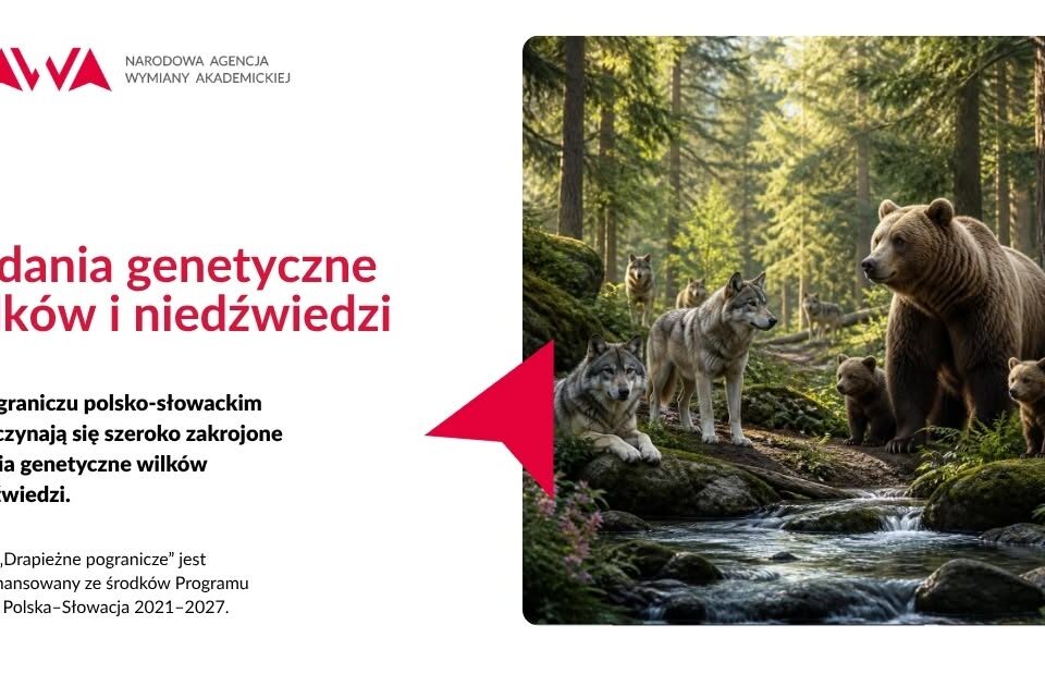 DNA ukazuje informacje o wilkach i niedźwiedziach w Karpatach